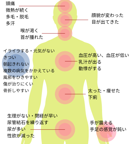 内分泌・代謝・糖尿病内科